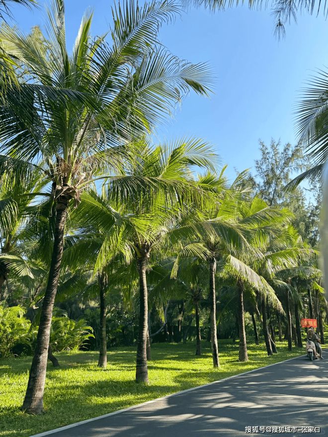 晚怎么玩三亚六日景点路线详细介绍开元棋牌试玩带父母去三亚6天5(图4)