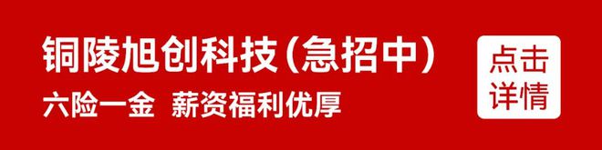 0%铜陵一法院房产拍卖创纪录张某吴某……你们被曝光了开元棋牌网站【铜陵头条0306】106轮竞价溢价21(图6)